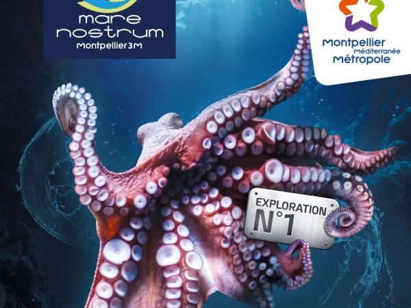 Studio Gazoline deploie ses tentacules !