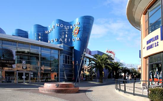 Mare Nostrum, la fin de l&rsquo;odyssée