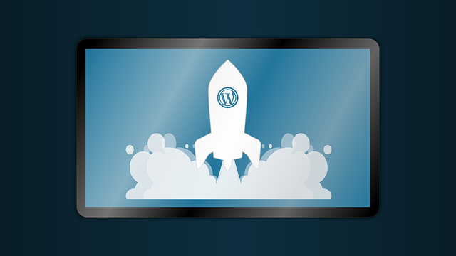 Quel est le prix d’un site institutionnel WordPress ?